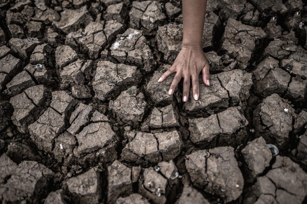 Crisis climática